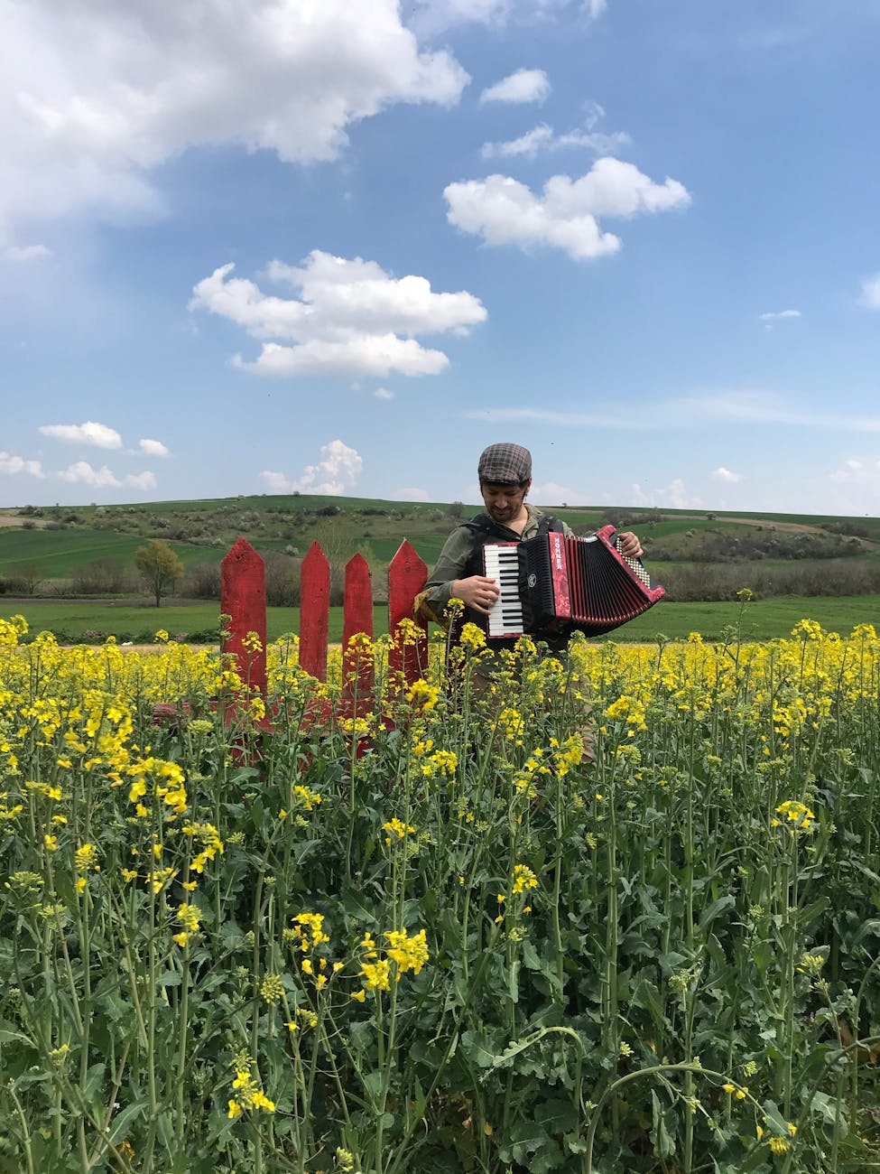 a man playing on accordion on a field